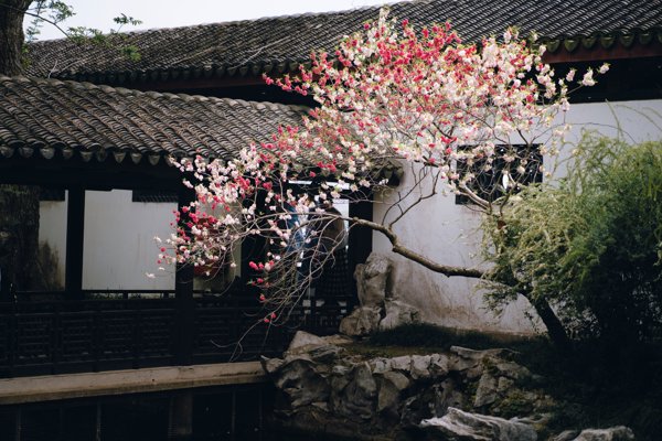 蠡园