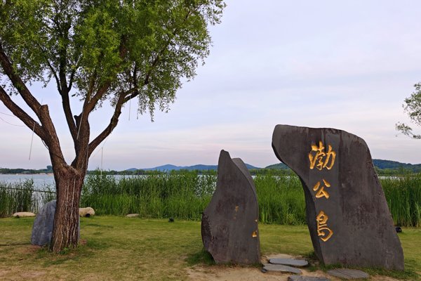 渤公岛